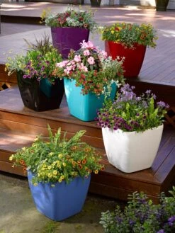 Deals My Gardenz Store 46 Viva Square Self-Watering Rolling Planter, 14" Diameter