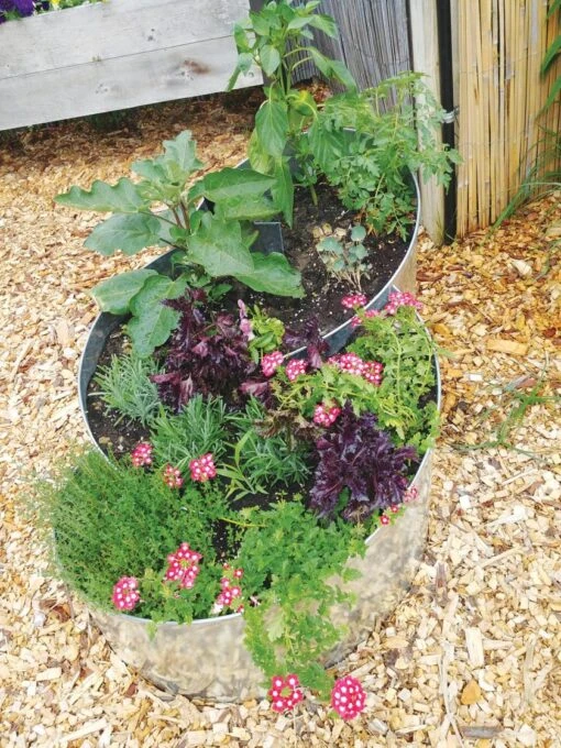 Curved Metal Raised Bed 1 Curved Metal Raised Bed -Deals My Gardenz Store 8610121 7840 tif