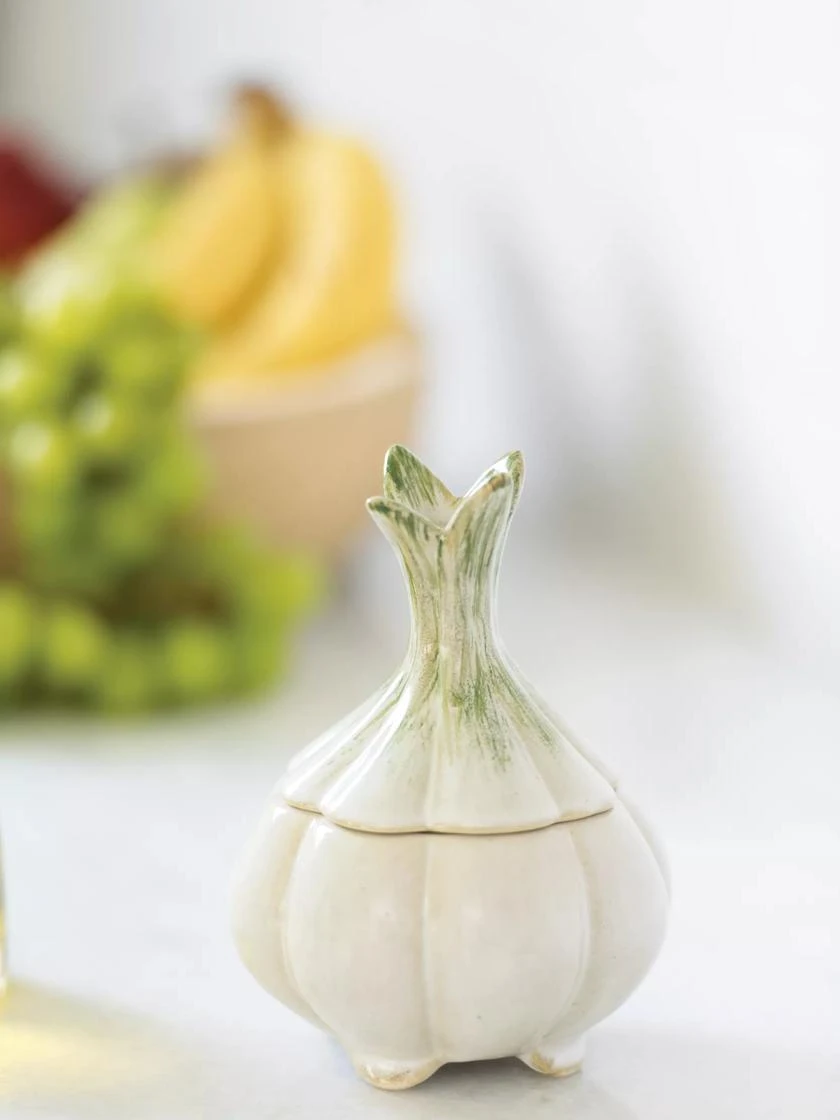 Deals My Gardenz Store 50 Deals My Gardenz Store -Deals My Gardenz Store 1